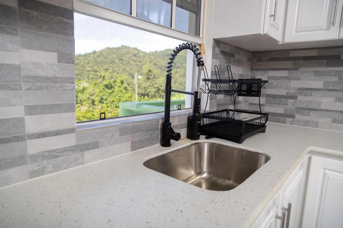 Sea And Summit Suite #2 Roseau Apartment